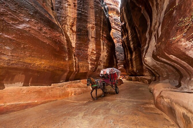 1 Day Tour to Petra From Eilat - The return through Aqaba and back to Eilat