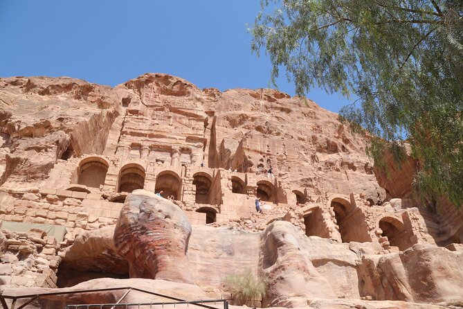 2 Day Tour to Petra and Wadi Rum from Tel Aviv - What the Bedouin camp is really like