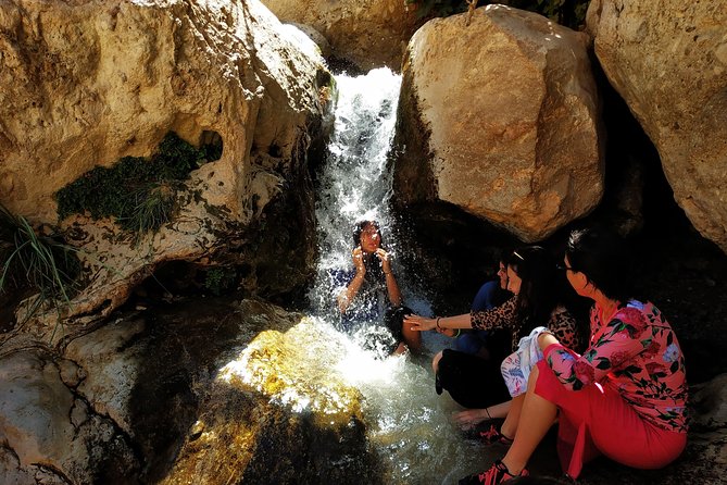 4WD Masada Ein Gedi Judea desert Dead Sea adventure 4x4 Tour. - Ein Gedi oasis and its short water trail