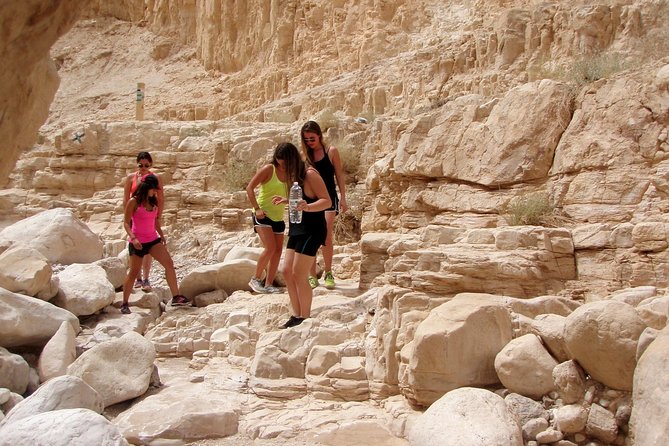 4WD St. George's Monastery Jordan Baptize Dead Sea adventure tour - Off-road driving and possible desert wildlife