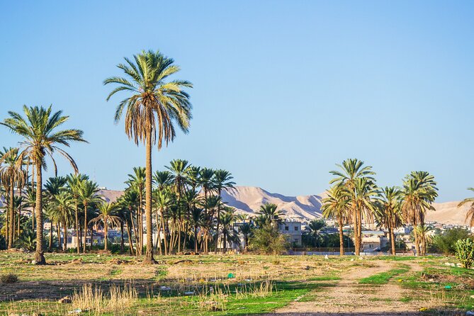 Bethlehem, Jericho & Jordan River Tour from Tel Aviv - Who should book this experience?