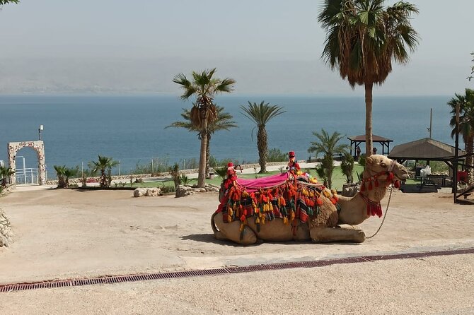 Bethlehem & The Dead Sea Full Day Tour from Jerusalem/TLV - St. Catherine’s Church and the Milk Grotto
