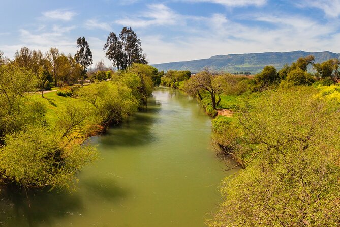 Biblical Highlights of the Galilee Tour From Tel Aviv - Lunch, food, and the cost of the day