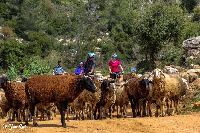 Bike the Holy Land with Yoav Lavi, Bike Guide for all levels and a Photographer - One guide, many ways to see Israel