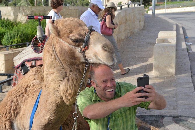 Boutique Walking Tour of Jerusalem - Starting at Jaffa Gate and finding your bearings