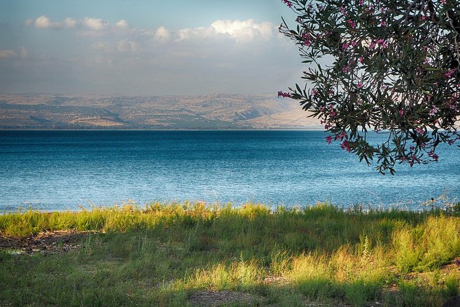 Christian Sea of Galilee, Cana, Magdala & Mt. of Beatitudes Tour - The Yigal Allon Museum and the boat from Jesus’s era