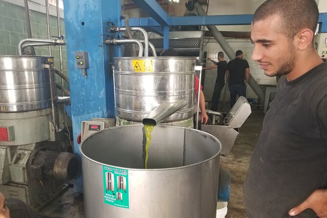 Culinary Day Tour of the Galilee - Druze sweets and wine at an organic vineyard