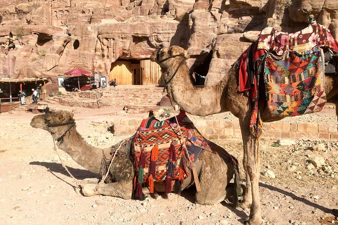 Day Tour to Petra by Bus from Tel Aviv - Why this Petra trip is tempting