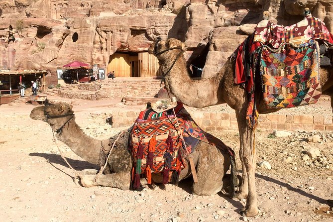 Day Tour to Petra from Eilat - What you can realistically see in three to four hours