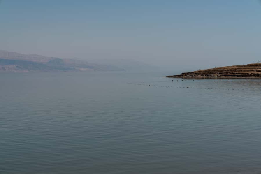 Dead Sea Full-Day Trip from Tel Aviv - How the guides and drivers affect the day