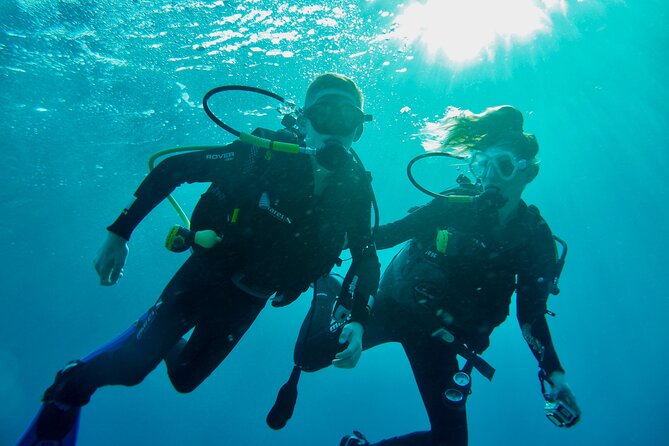 Discover Scuba Diving - Indroductory Dives - Quick facts about the Eilat experience