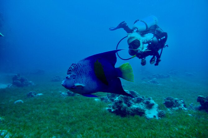 Discover Scuba Diving - Indroductory Dives - Why three hours is a useful length