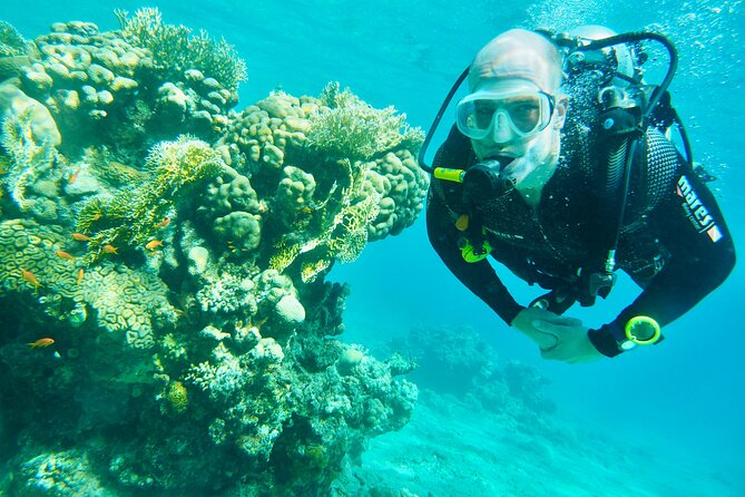 Discover Scuba Diving - Indroductory Dives - Who will enjoy this most