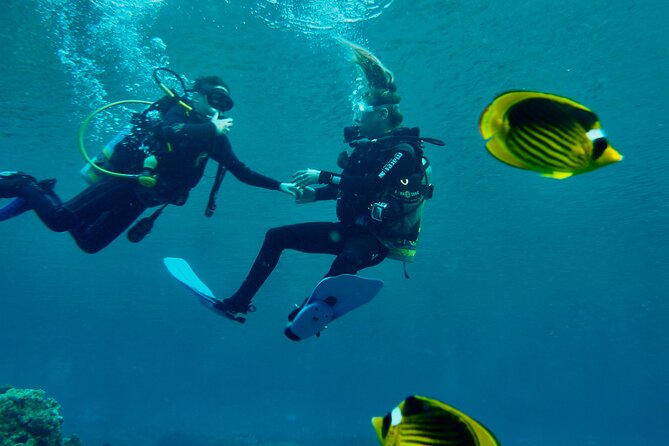 Discover Scuba Diving - Indroductory Dives - Booking ahead and keeping your plans flexible