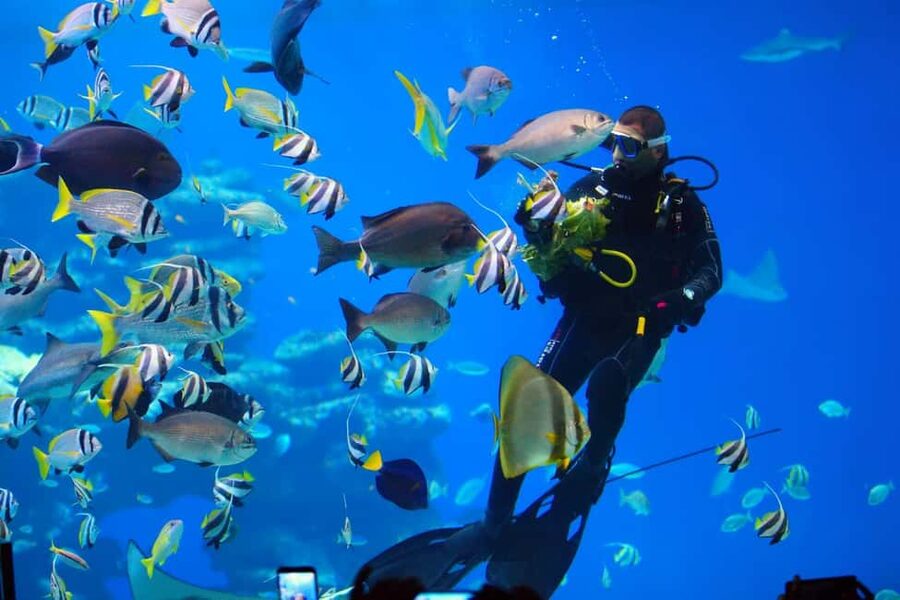 Eilat: Intro to Diving with Certified Instructor - Arriving at Aqua Star near Coral Beach