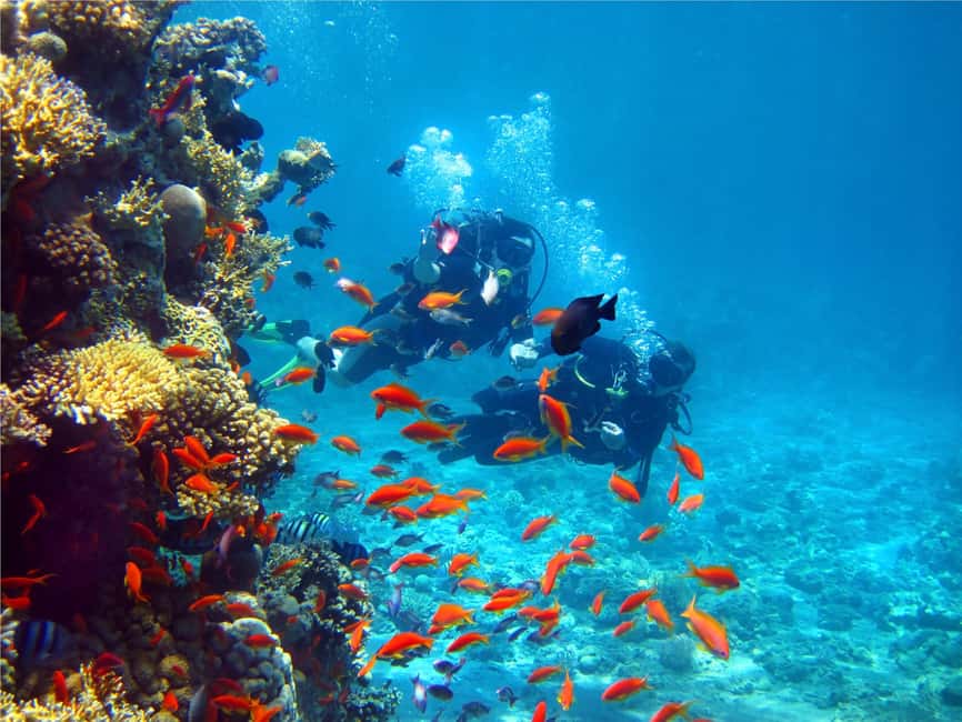 Eilat: Intro to Diving with Certified Instructor - Thirty minutes among coral and marine life
