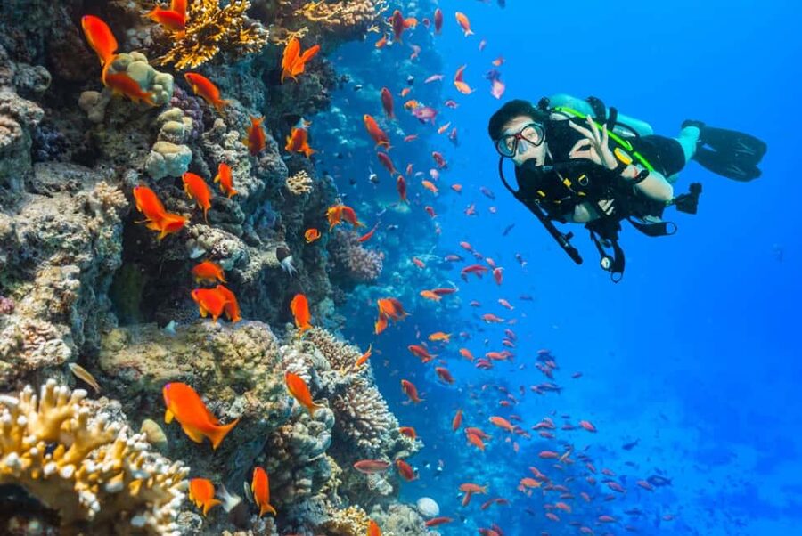 Eilat: Intro to Diving with Certified Instructor - Is $85 per person good value?