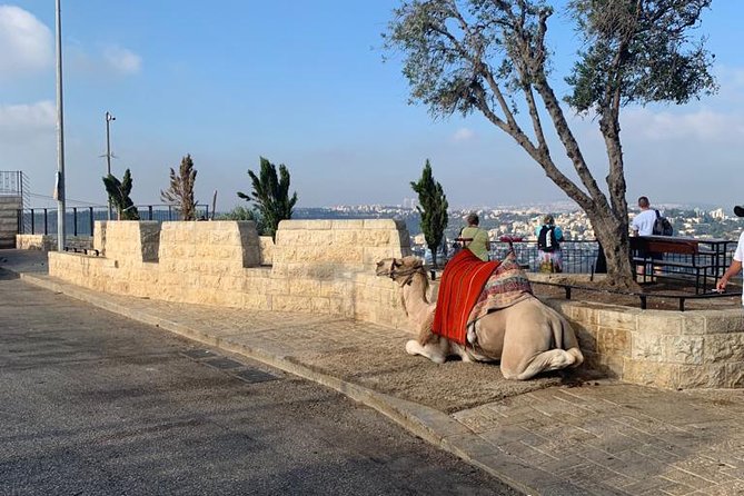 Explore Jerusalem's Old City - Through the Muslim Quarter and Cotton Makers Market