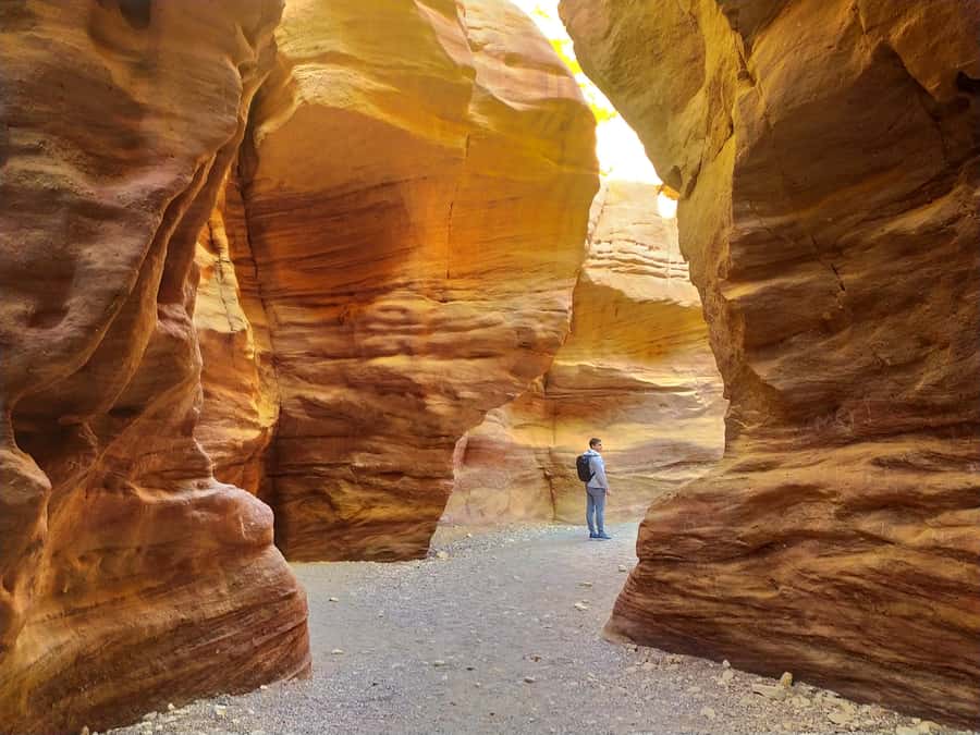 From Eilat: Red Canyon Guided Tour - From Eilat to the Eilat Mountains in 20 minutes