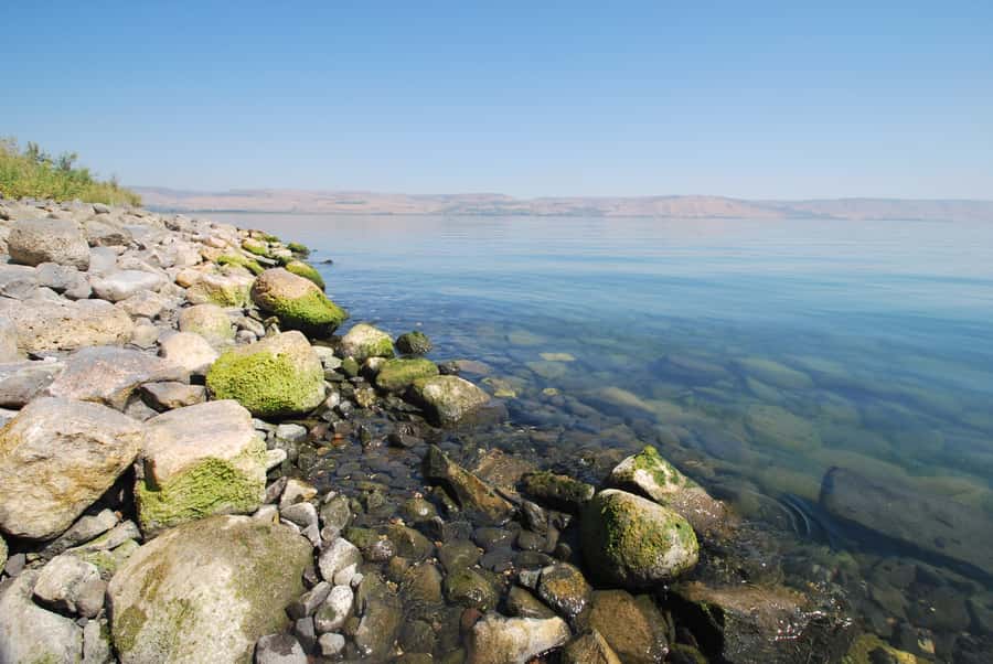 From Haifa: Guided Day Trip to Nazareth and Sea of Galilee - Why this Haifa shore excursion works