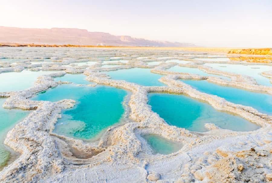 From Jerusalem: Masada and Dead Sea Private Tour - Who should book this day?