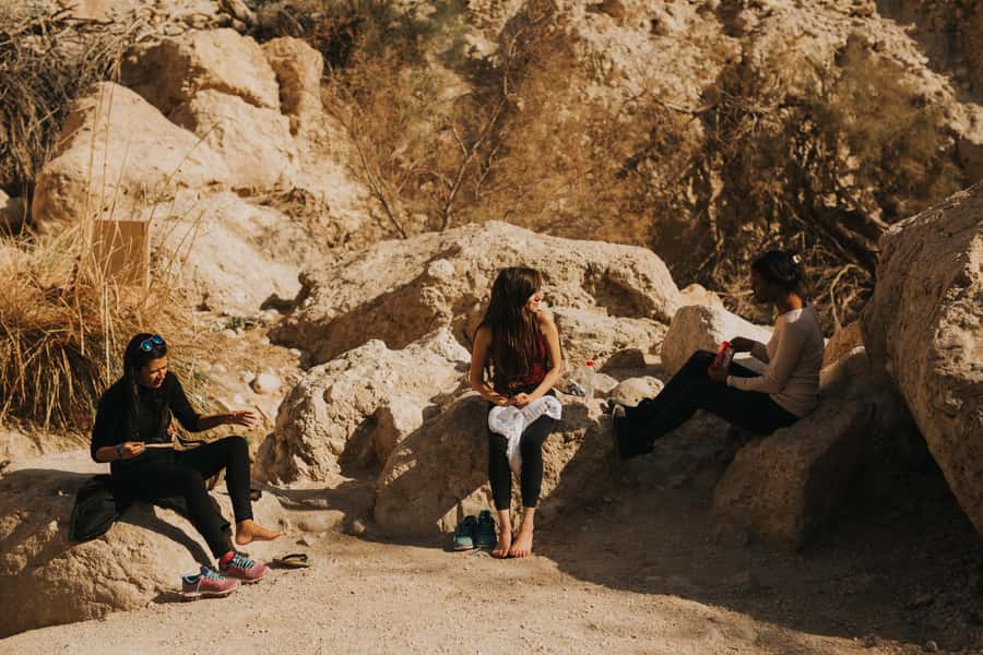From Jerusalem: Masada at Sunrise, Ein Gedi & Dead Sea Tour - Who will enjoy this tour most
