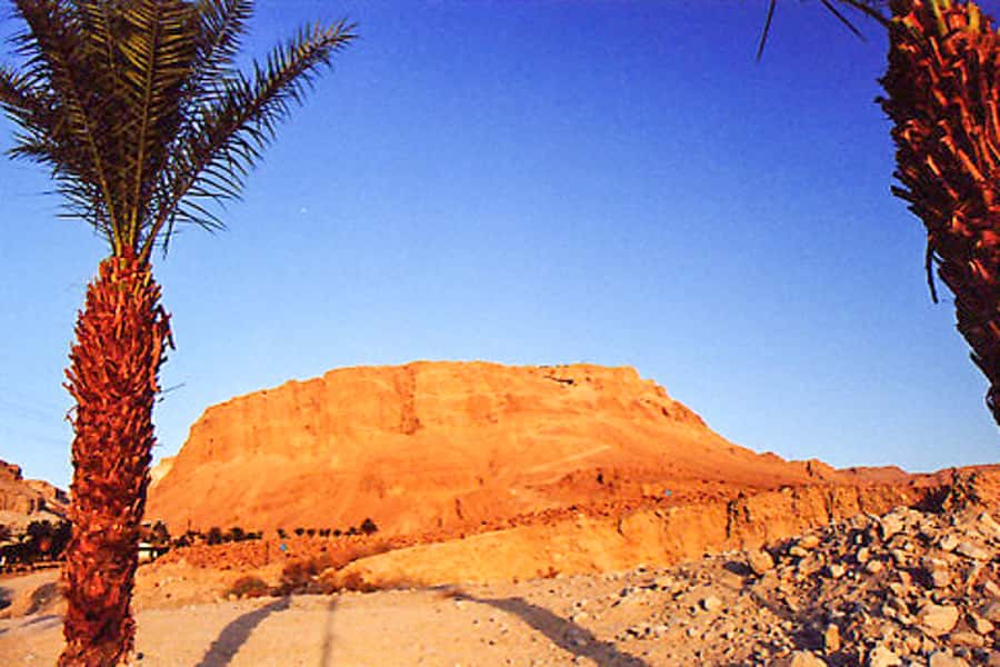 From Jerusalem: Masada&Dead Sea Tour INCLUDING ENTRANCE FEES - The Dead Sea stop and the strange pleasure of floating
