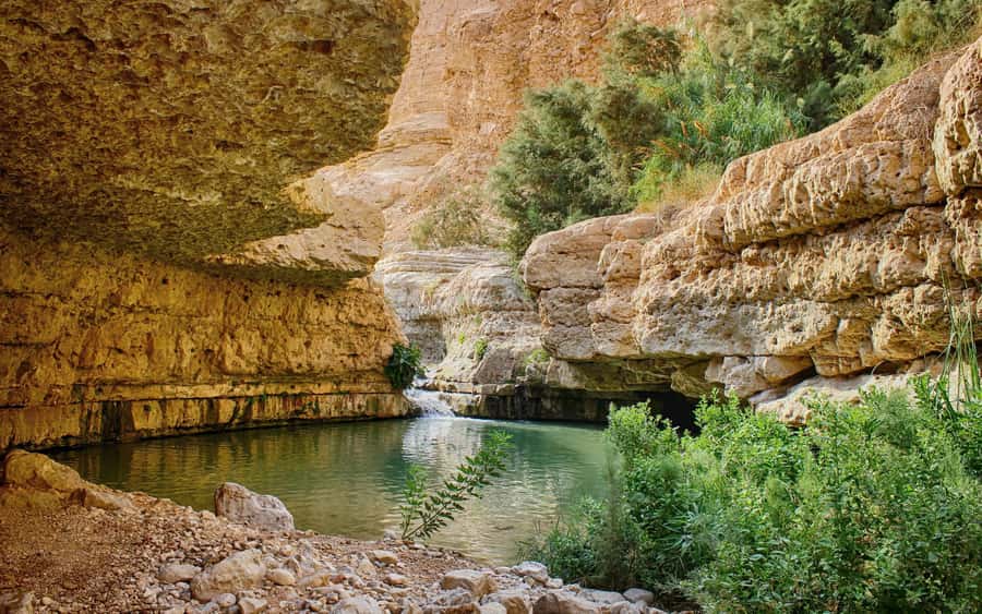 From Jerusalem: Masada Sunrise, Ein Gedi & Dead Sea Day Trip - Masada: sunrise above the Dead Sea