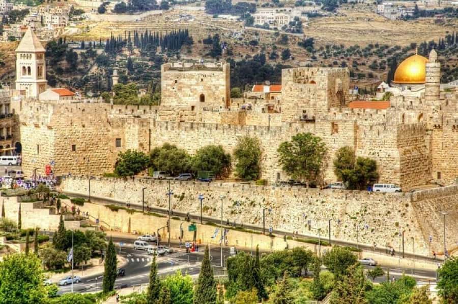 From Jerusalem: Origins of Christ in Jerusalem Day Tour - Who will enjoy this Jerusalem day tour?