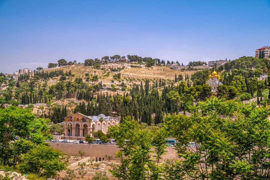 From Jerusalem Small group tour Old&New City ENTRY FEES INCL - Ein Karem begins the morning away from the crowds