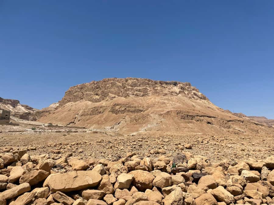 From Jlm : Masada Dead Sea Small Group Tour INCL. ENTRY FEES - The Dead Sea stop and the strange pleasure of floating