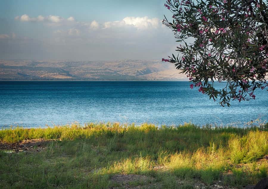 From Tel Aviv: Christian Galilee and Nazareth Day Trip - Capernaum, the synagogue, and St. Peter’s traditional home