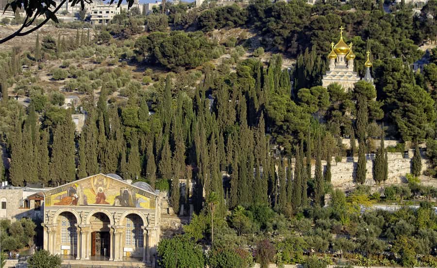 From Tel-Aviv: Day Tour to Origins of Christ in Jerusalem - Key details before you book