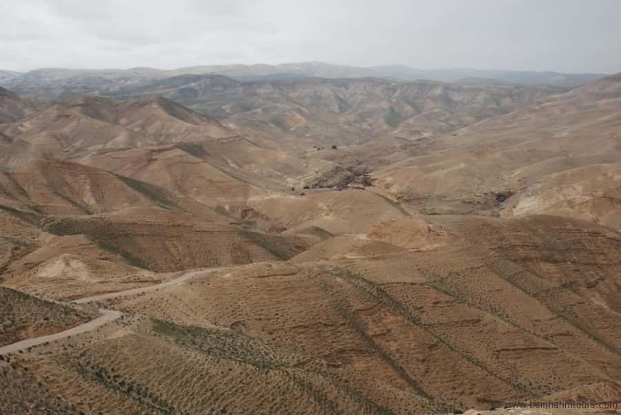 From Tel Aviv: Dead Sea Visit & Desert Safari - Key points to know before booking