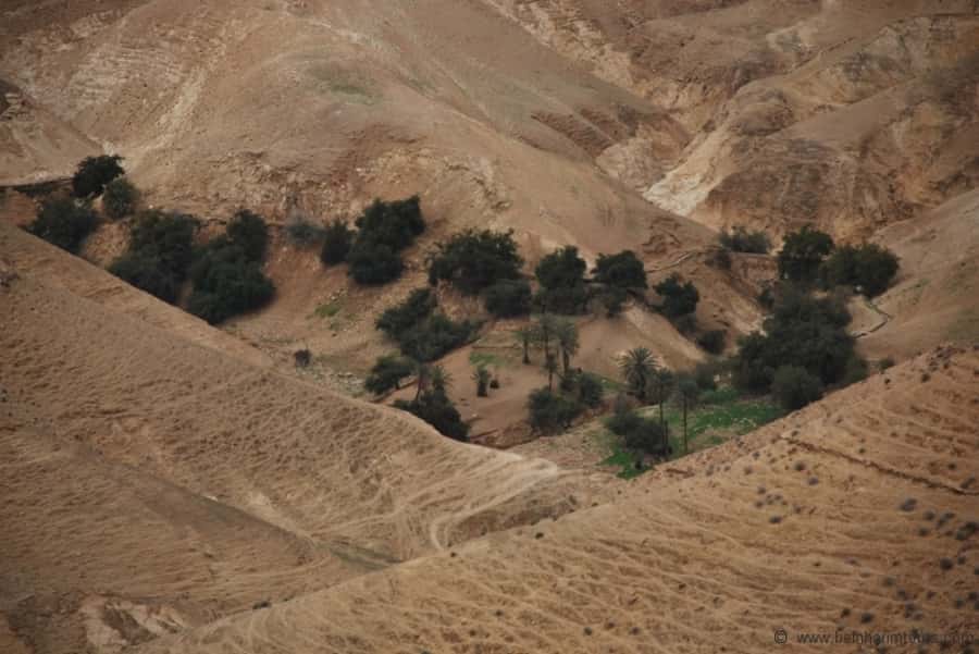From Tel Aviv: Dead Sea Visit & Desert Safari - The long descent from Tel Aviv into the Judean Desert