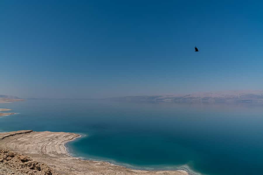 From Tel Aviv: Dead Sea Visit & Desert Safari - The 4WD safari across rough desert ground