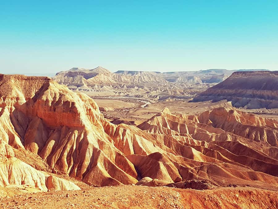 From Tel Aviv: Dead Sea Visit & Desert Safari - What to pack for the desert and the salt water