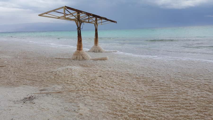 From Tel Aviv: Full-Day Dead Sea Relaxation Tour - Floating in the Dead Sea