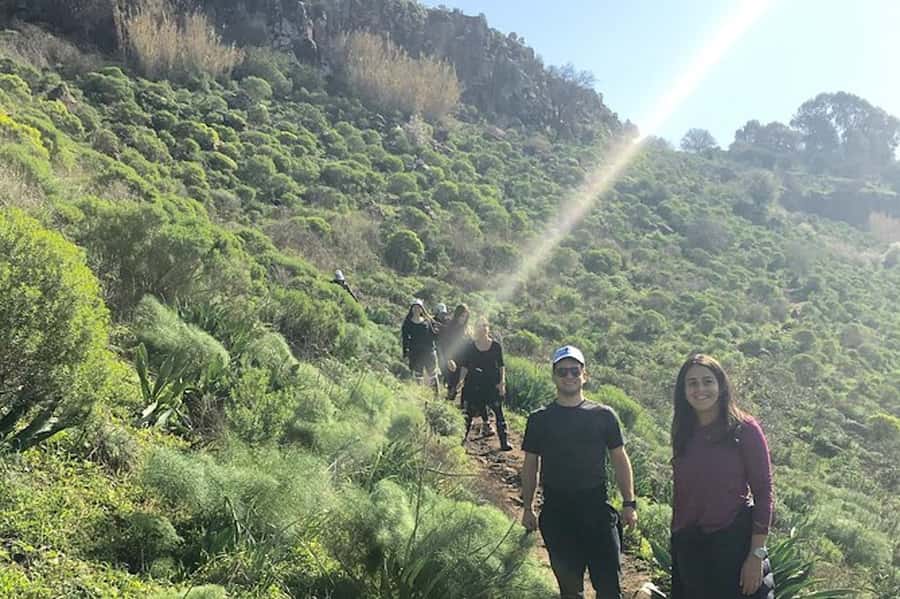 From Tel Aviv: Golan Heights ATV Action & Wine-Tasting Tour - What the $641 price really covers