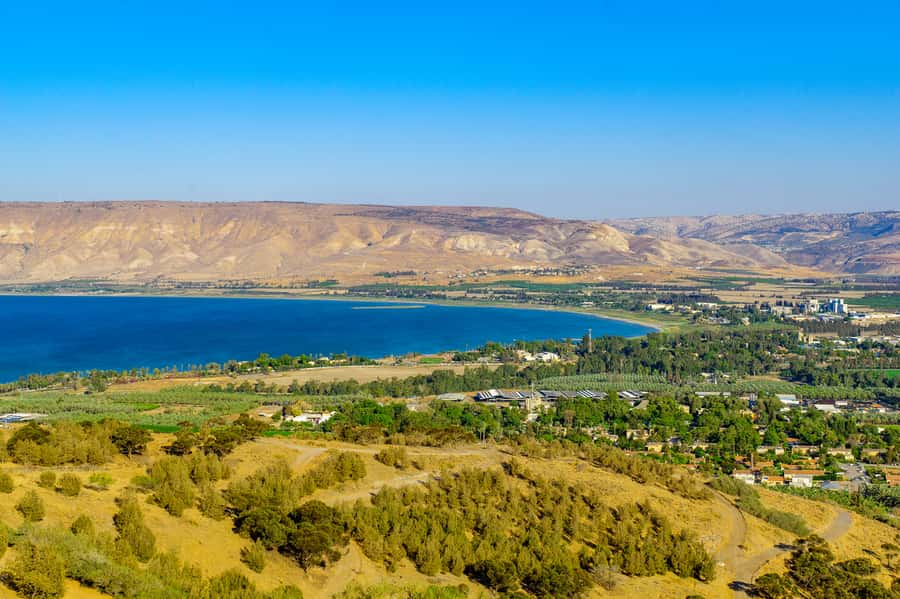 From Tel Aviv: Golan Heights Tour - The Guide Can Make or Break the Day