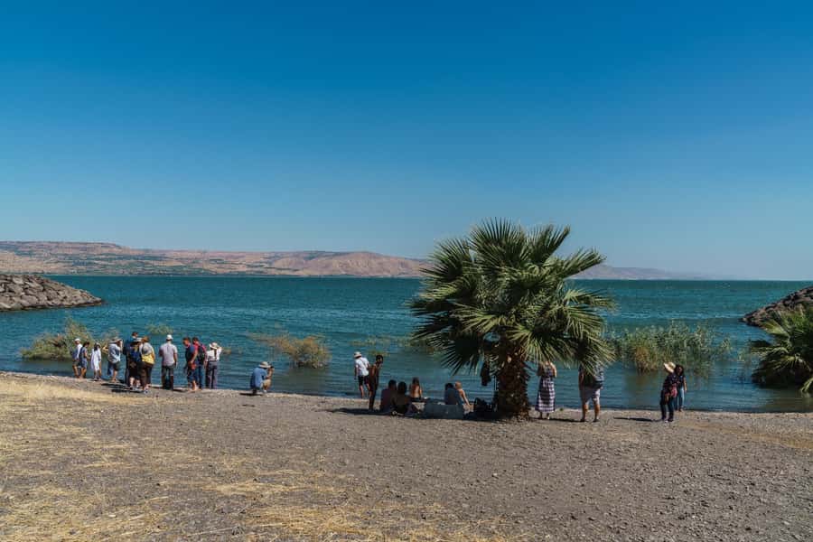 From Tel Aviv: Guided Day Trip to Nazareth & Sea of Galilee - Tabgha and the Church of the Multiplication