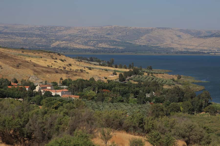 From Tel Aviv: Magdala, Mount of Beatitudes, and Cana Tour - Key points at a glance