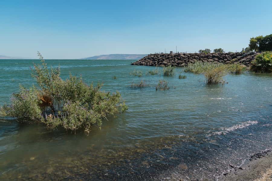 From Tel Aviv: Magdala, Mount of Beatitudes, and Cana Tour - Why this Galilee day trip works from Tel Aviv