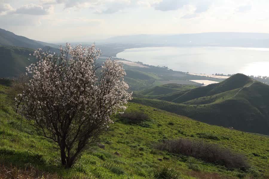 From Tel Aviv: Magdala, Mount of Beatitudes, and Cana Tour - Ginosar and the boat preserved from the Sea of Galilee