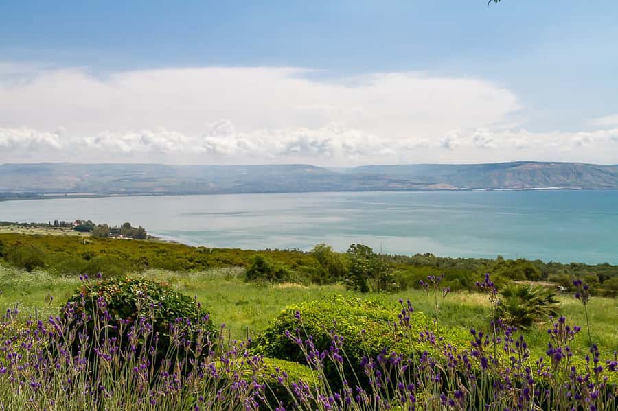From Tel Aviv: Magdala, Mount of Beatitudes, and Cana Tour - Cana and the story of the first miracle