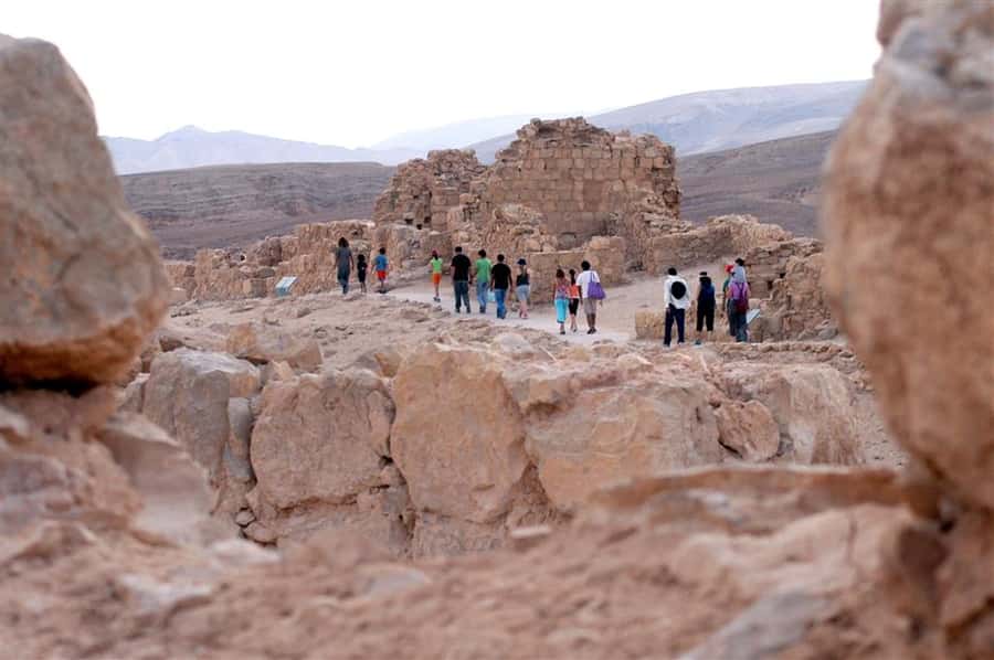 From Tel Aviv: Masada &Dead Sea Tour INCLUDING ENTRANCE FEES - The drive through the Judean hills