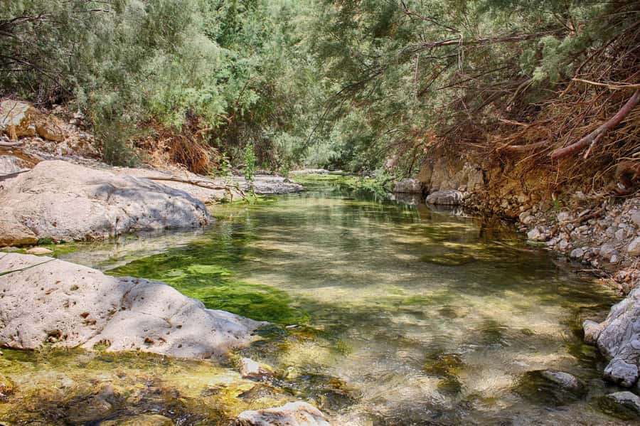 From Tel Aviv: Masada, Ein Gedi & Dead Sea Tour - Masada and King Herod’s mountaintop fortress