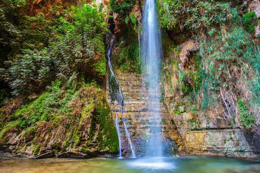 From Tel Aviv: Masada, Ein Gedi & Dead Sea Tour - What the $99 price really buys you