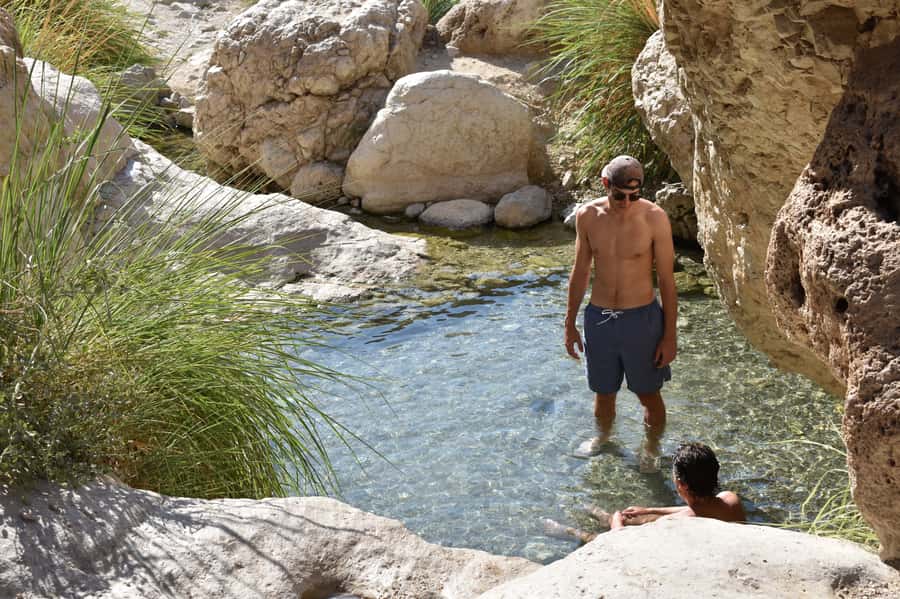 From Tel Aviv: Masada Sunrise, Ein Gedi and Dead Sea Tour - Transportation, drivers, and the return to Tel Aviv