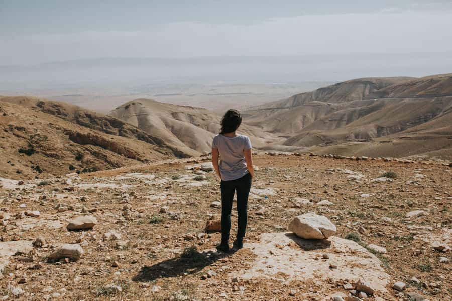 From Tel Aviv: West Bank Day Tour - Why this route is worth your time